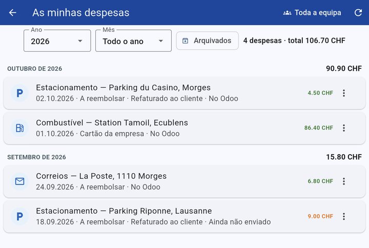 As minhas despesas